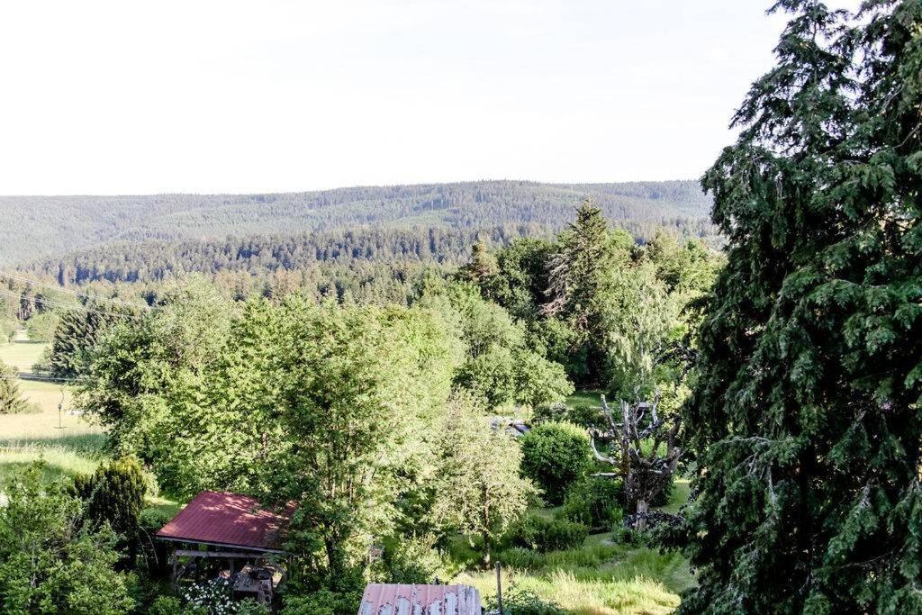 Apartment 4-zimmer-ferienwohnung Waldbluemle